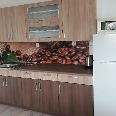 Apartman Viki